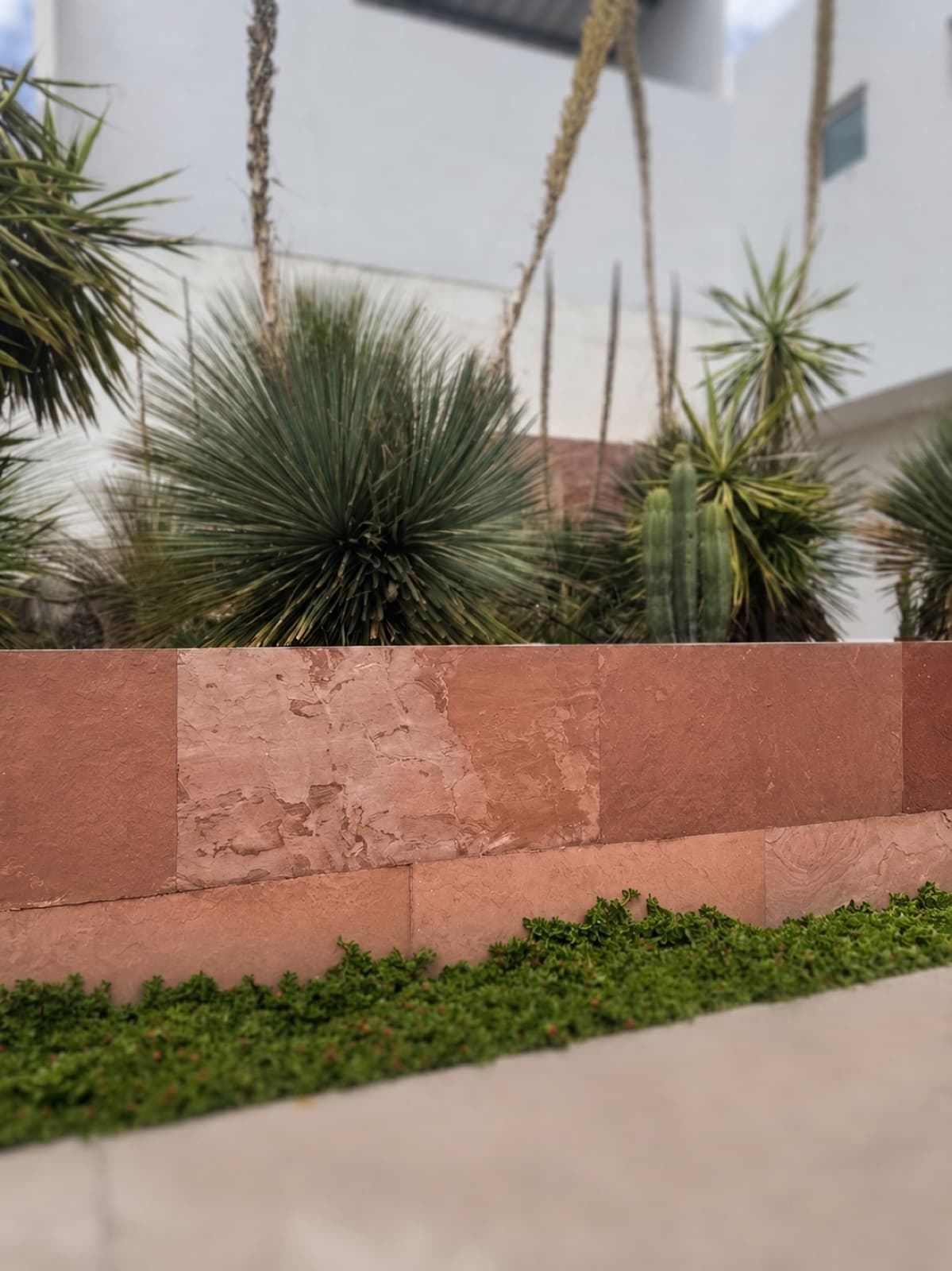 Muro exterior — jardín